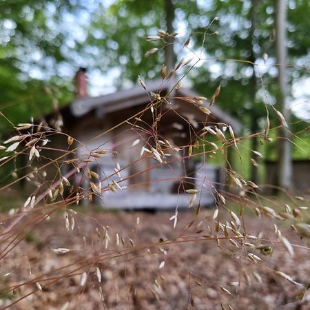 Bjaernhultsgardens Stugor Linderod エクステリア 写真