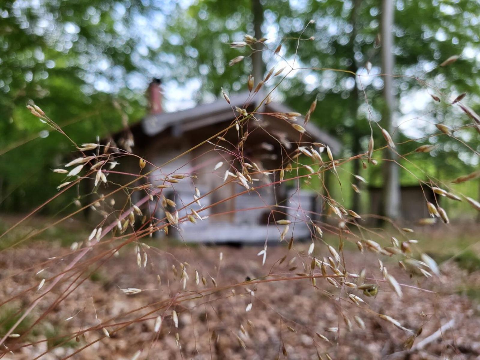 Bjaernhultsgardens Stugor Linderod エクステリア 写真