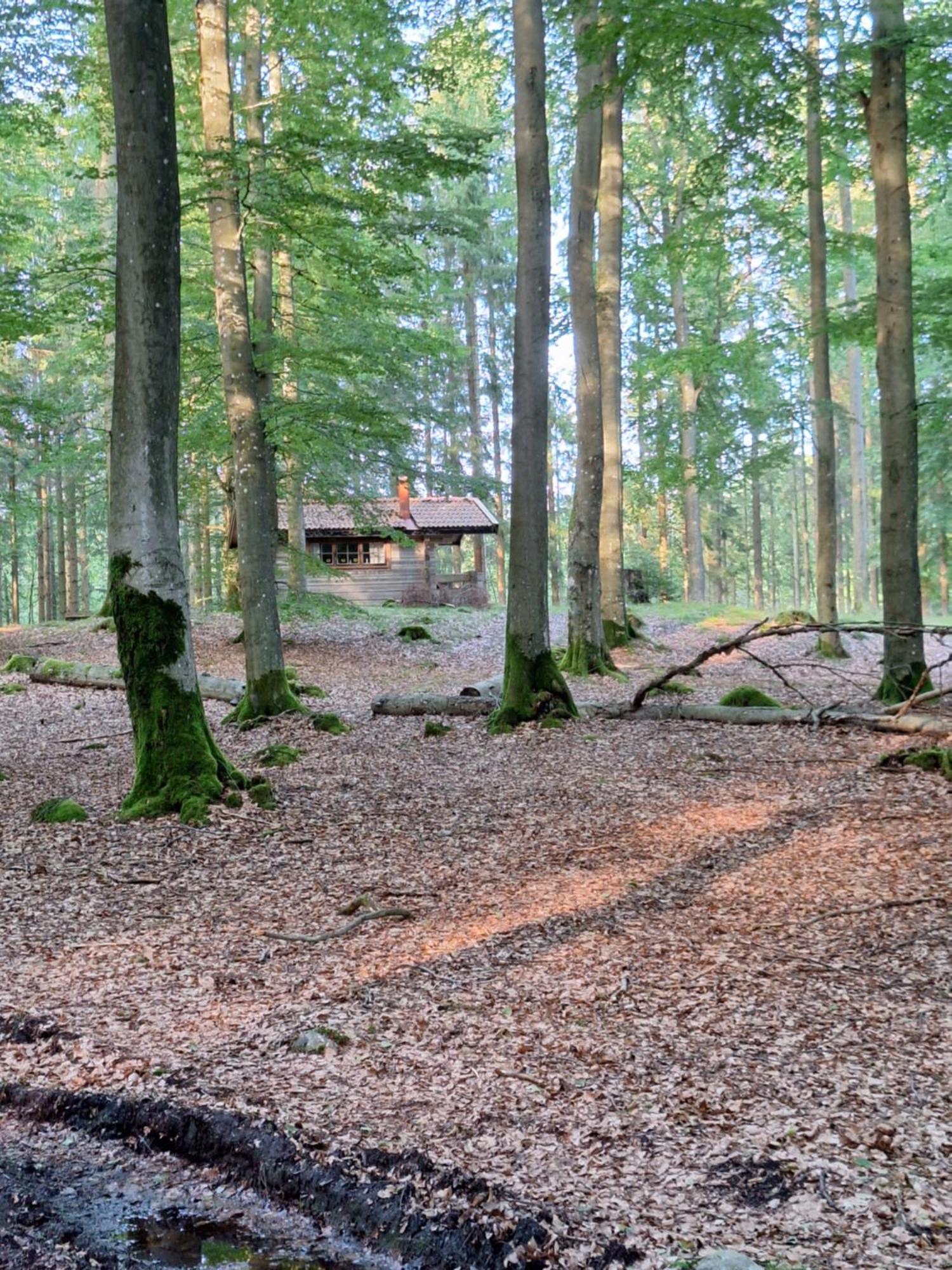 Bjaernhultsgardens Stugor Linderod エクステリア 写真
